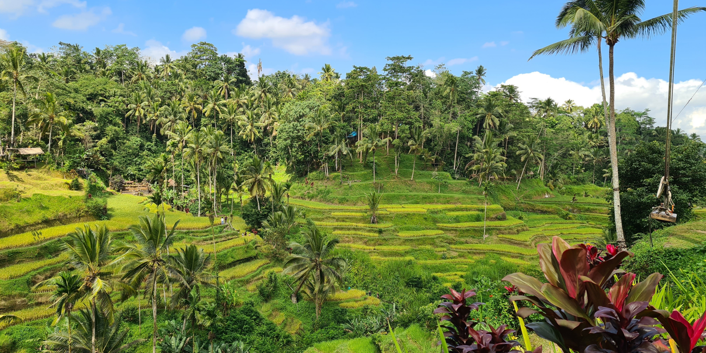 Tegallalang, Bali ©Shutterstock