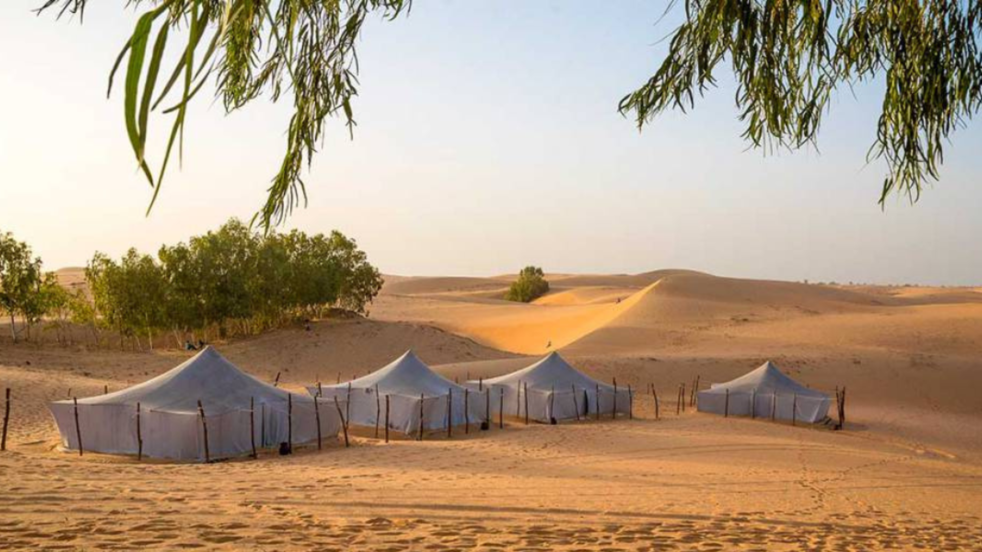 Votre campement pour une nuit en bivouac (selon date de départ)