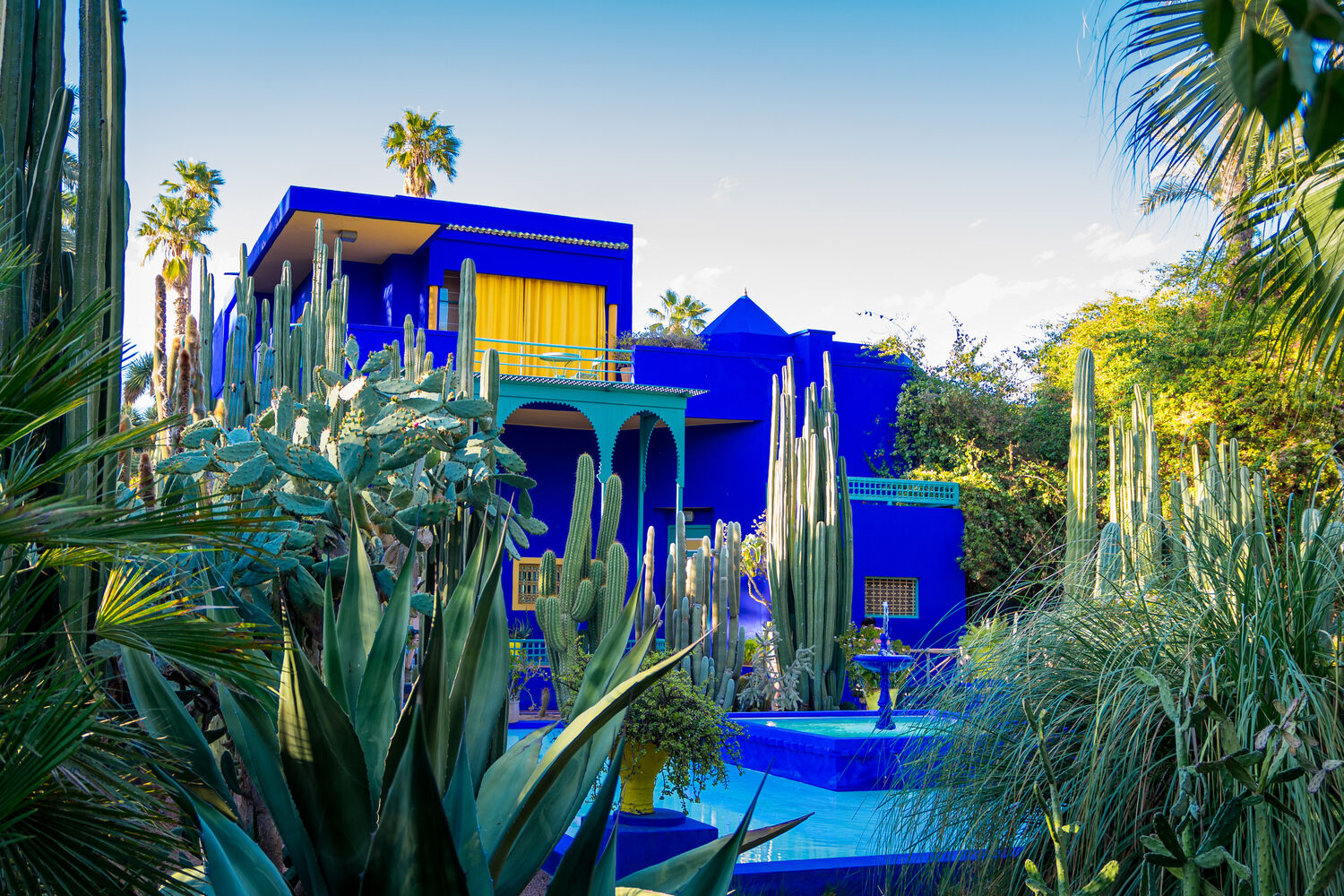 L'incontournable Jardin Majorelle 