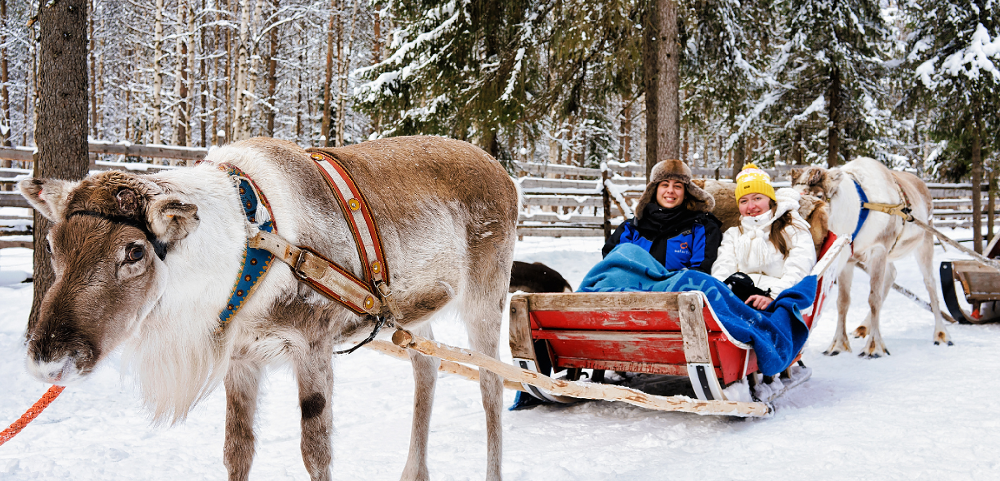 Une expérience mémorable à la rencontre des rennes - jour 4