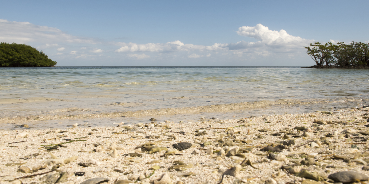 Boca Chita Key, idéal pour chiller