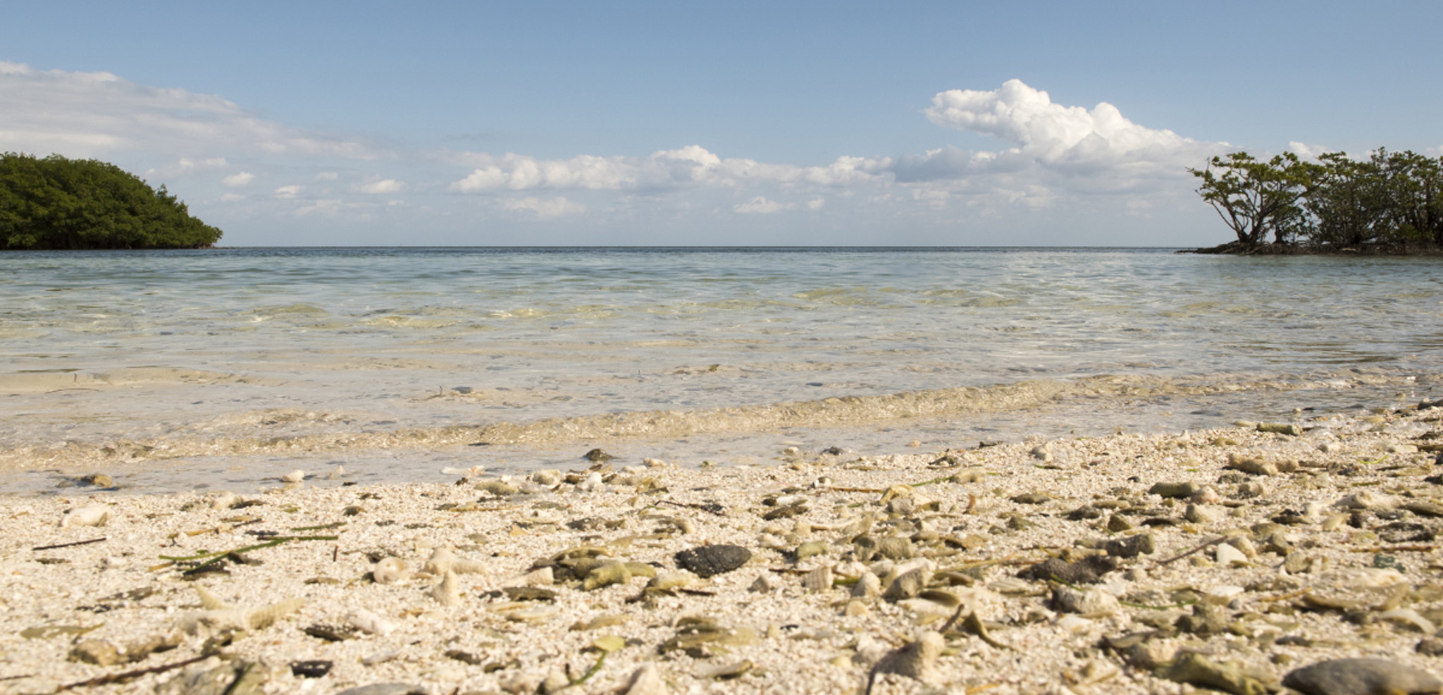 Boca Chita Key, idéal pour chiller