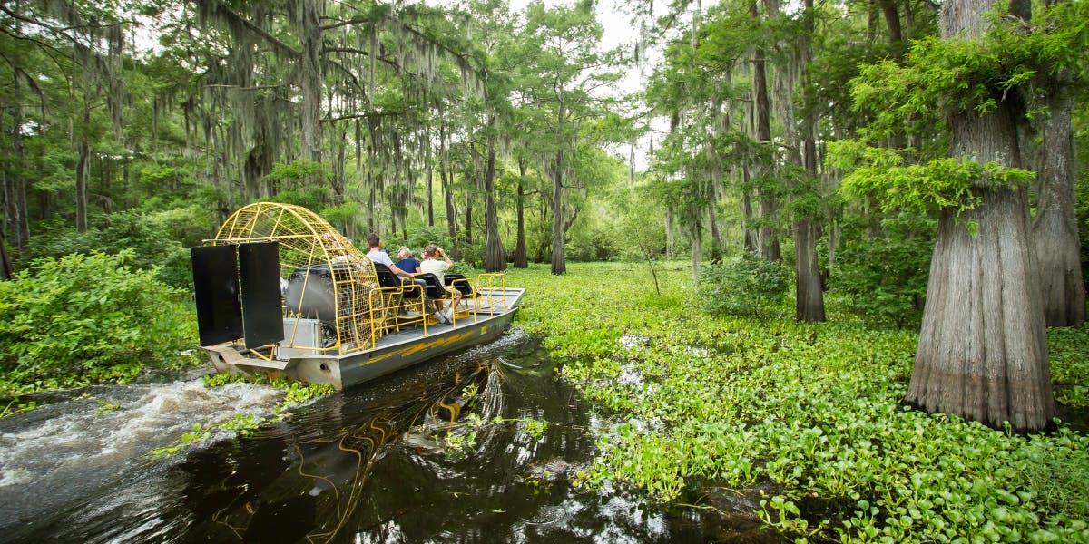 Pour une virée en airboat 