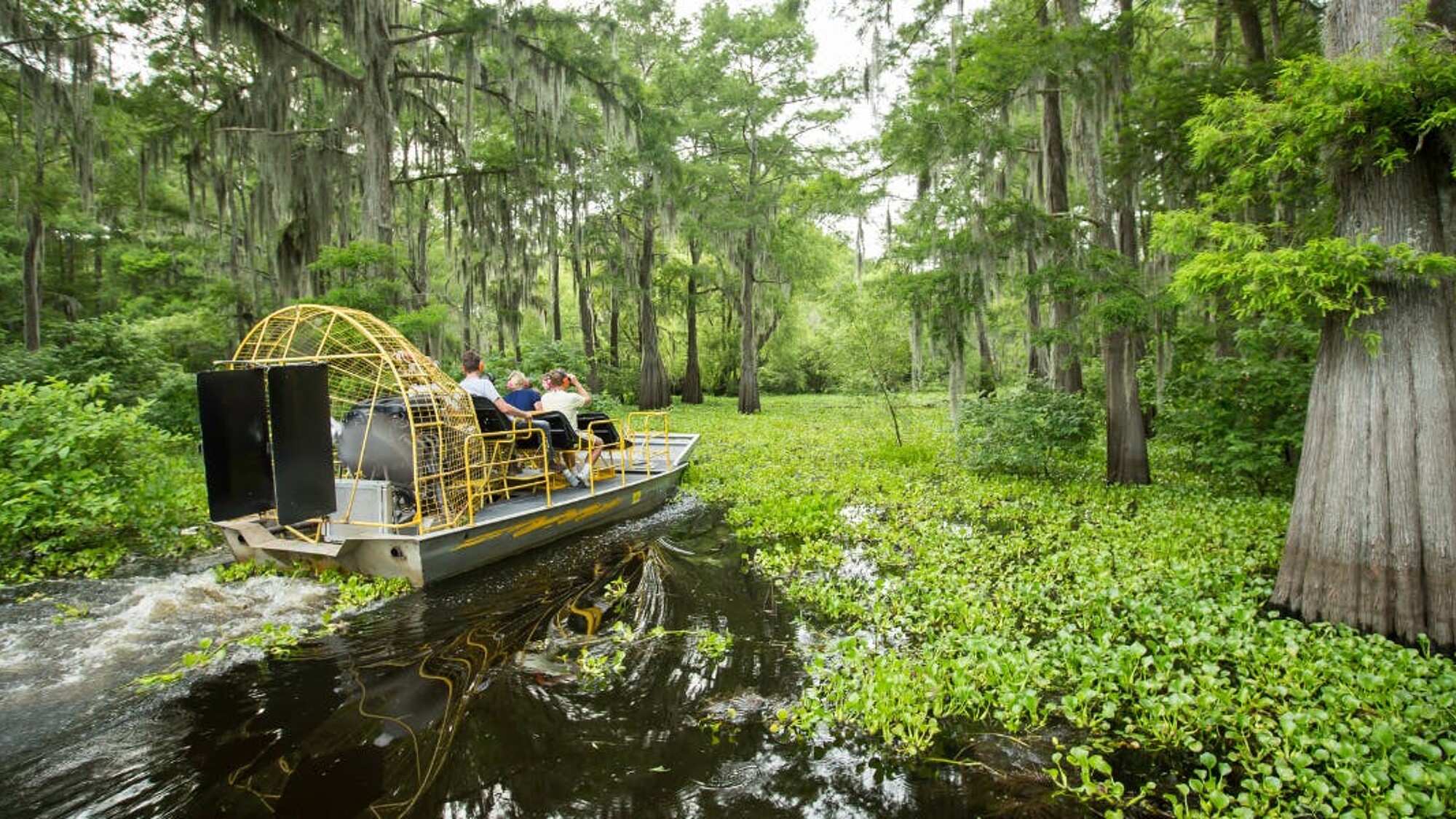 Pour une virée en airboat