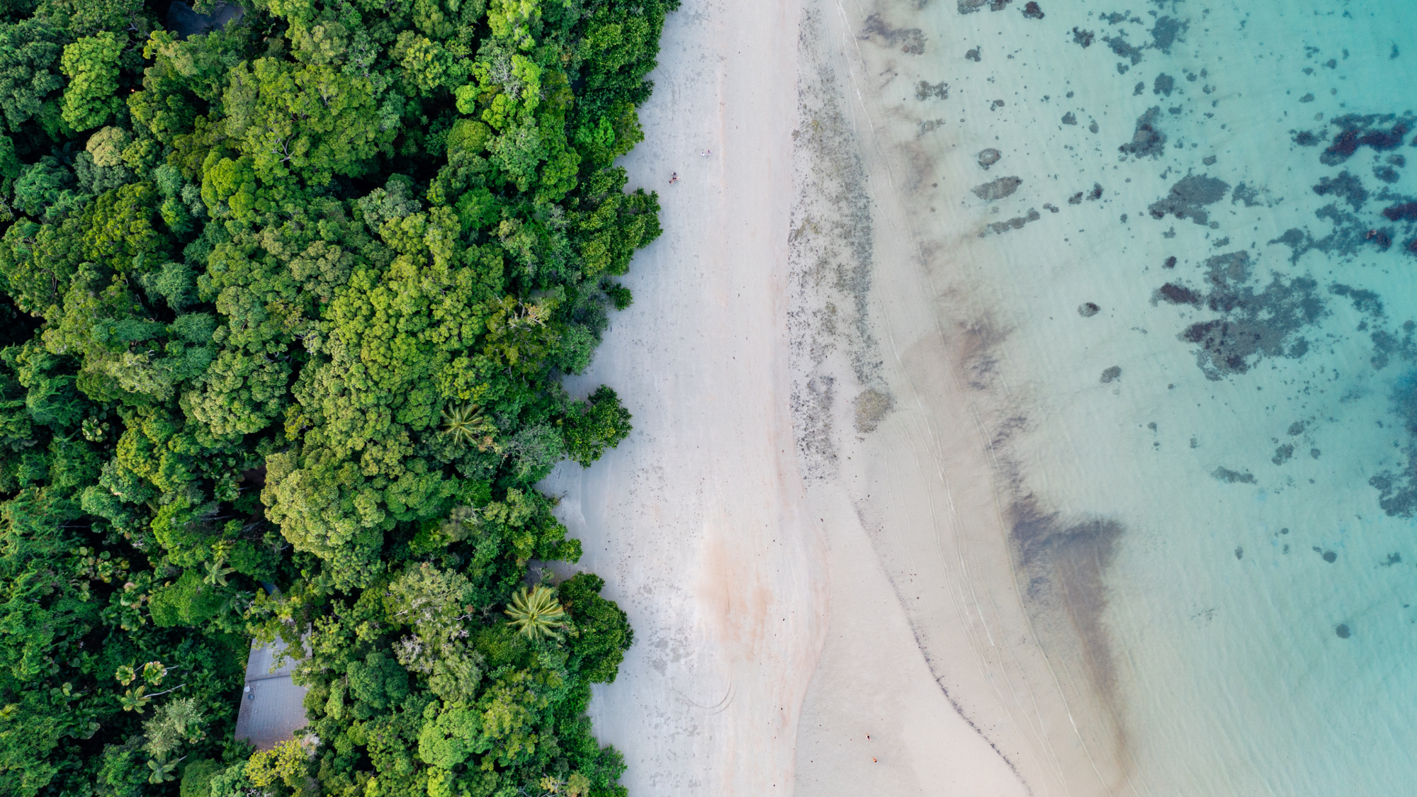 Palm Cove, Australie