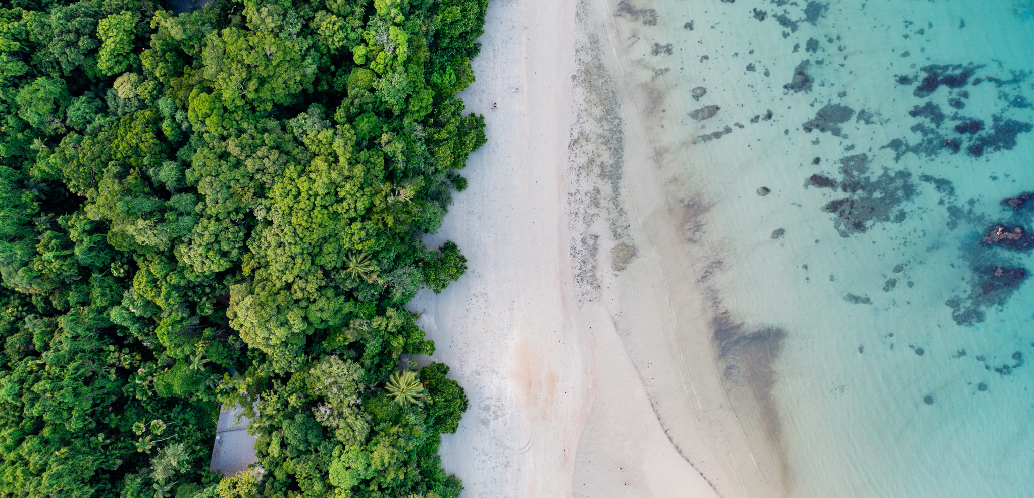 Palm Cove, Australie