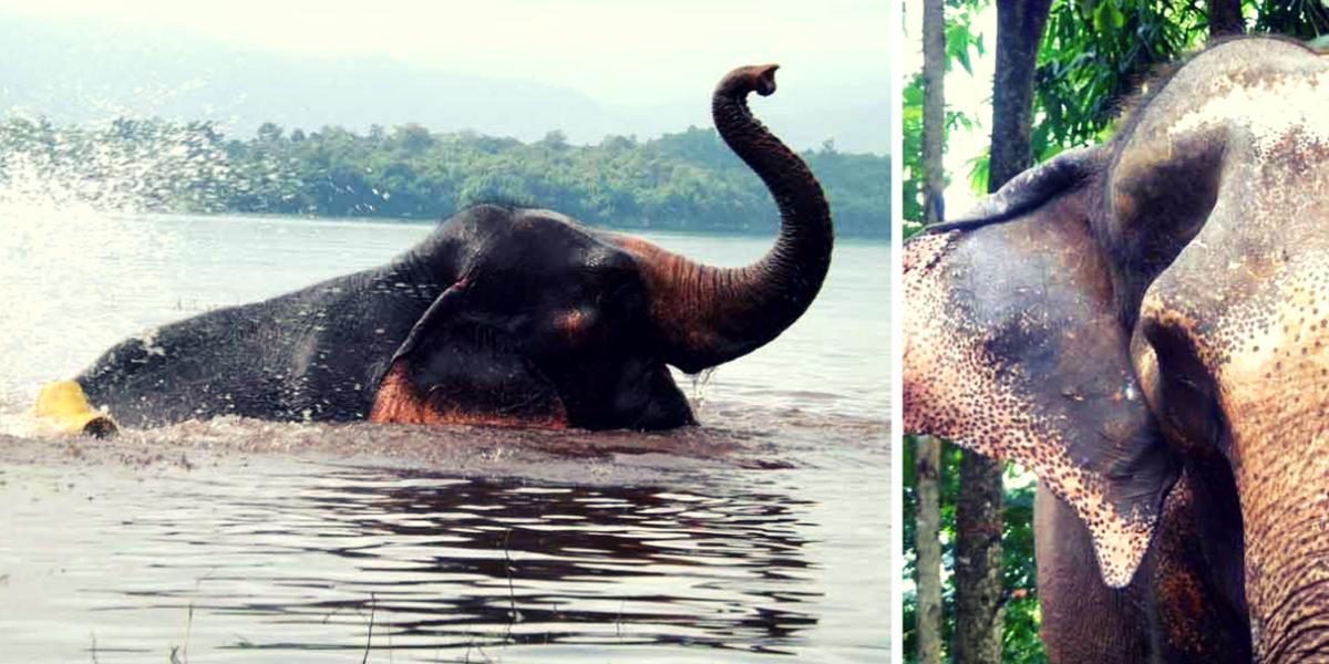 Faites connaissance ...