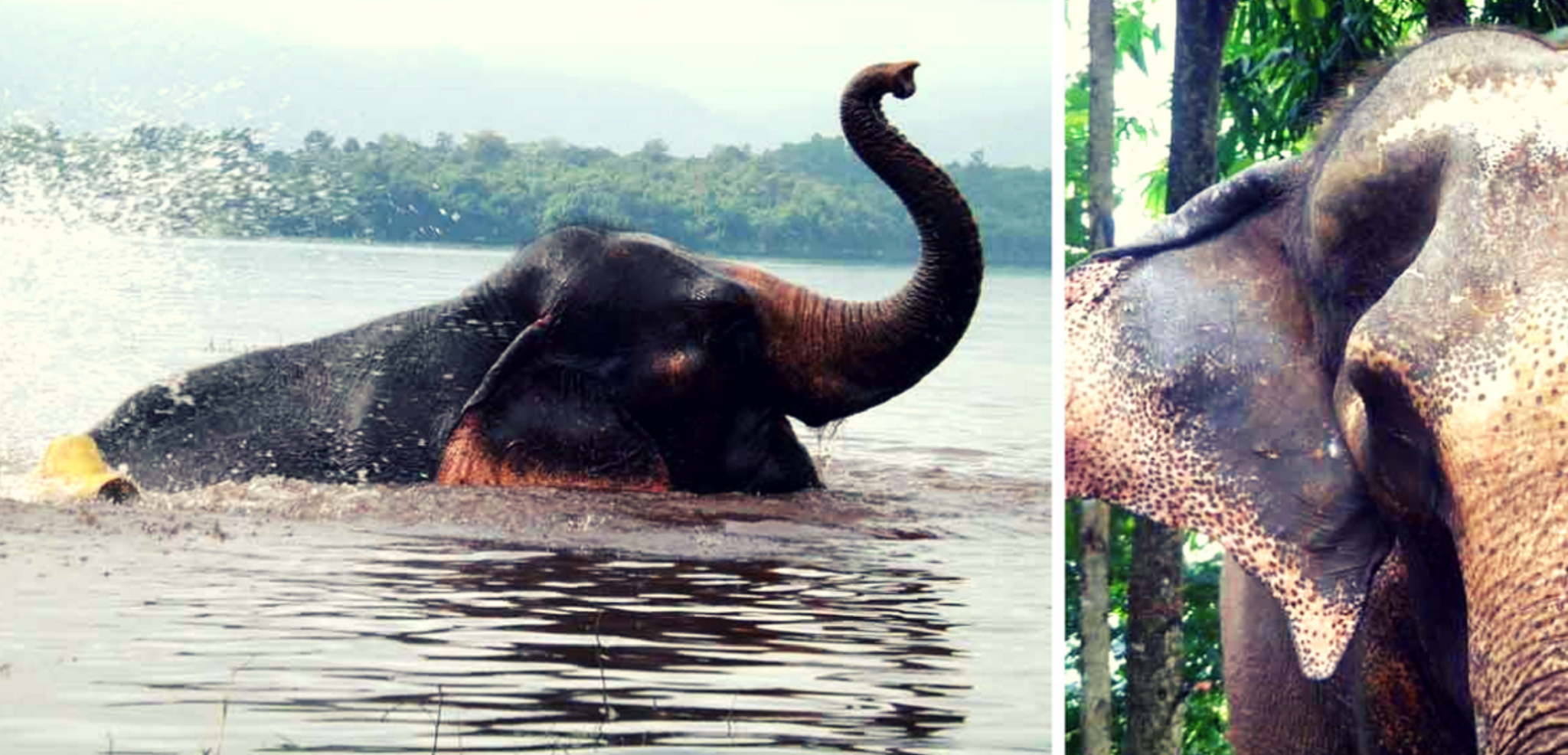 Faites connaissance ...