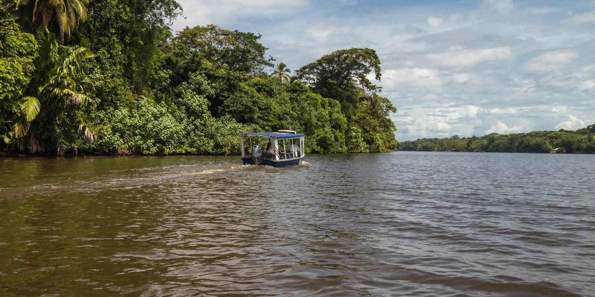 La découverte de Tortuguero entre jungle et canaux - jours 2 et 3 