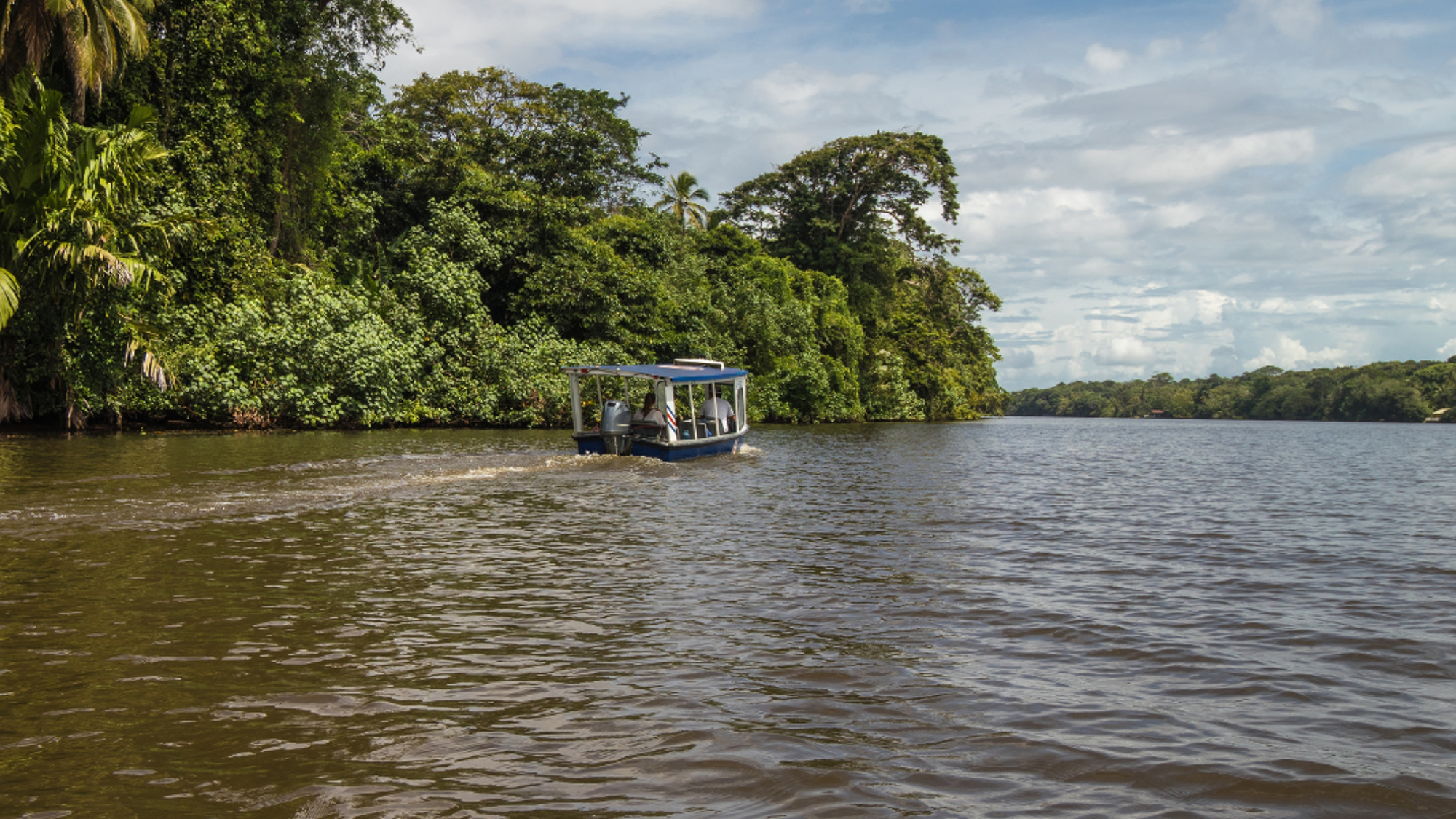La découverte de Tortuguero entre jungle et canaux - jours 2 et 3