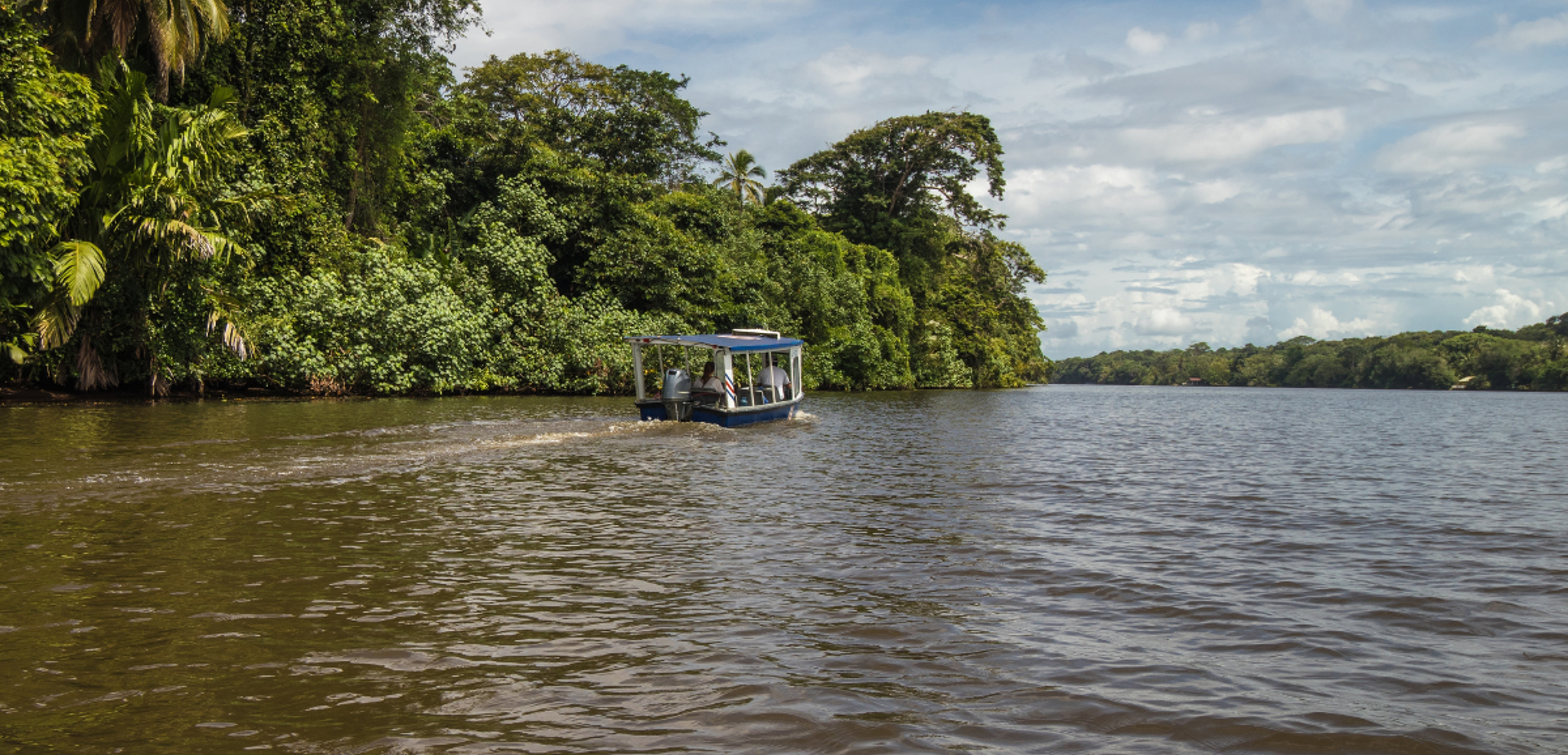 La découverte de Tortuguero entre jungle et canaux - jours 2 et 3