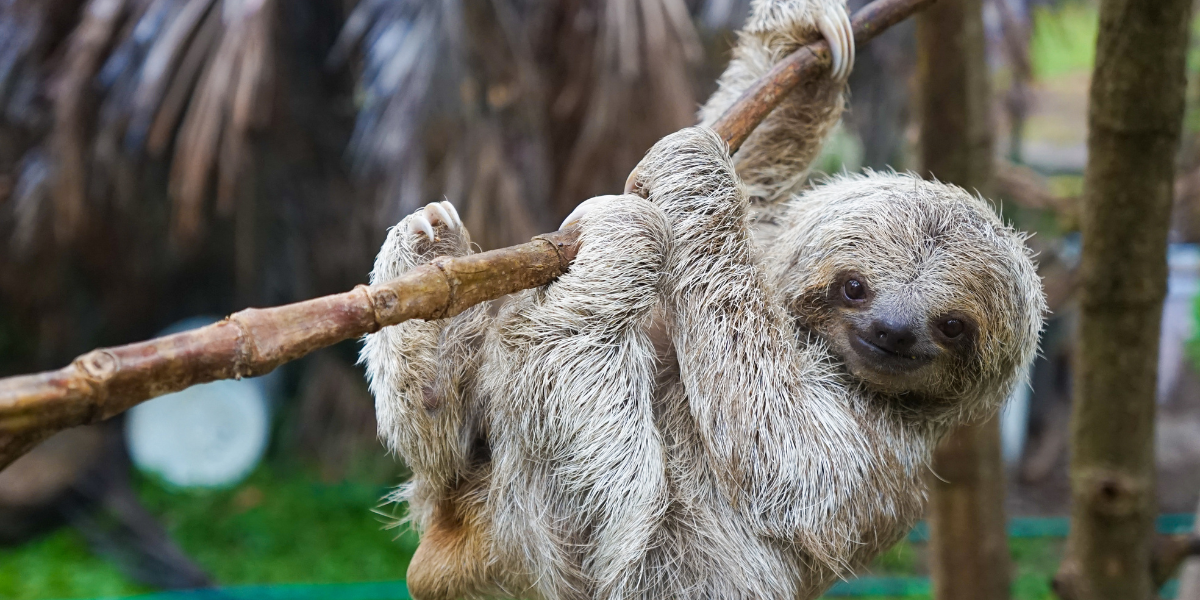 Refuge de la faune sauvage