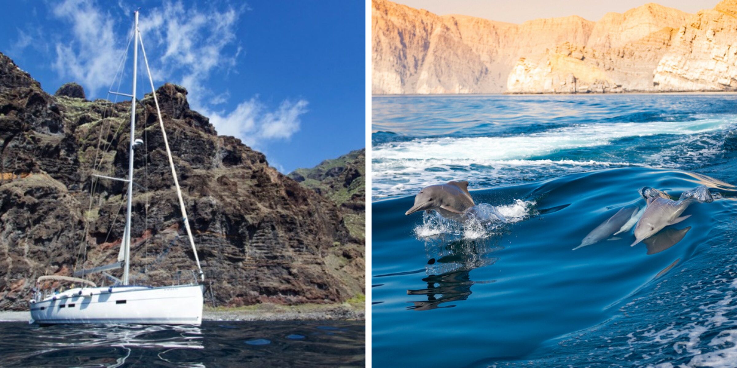 Prenez la mer pour une observation des cétacés