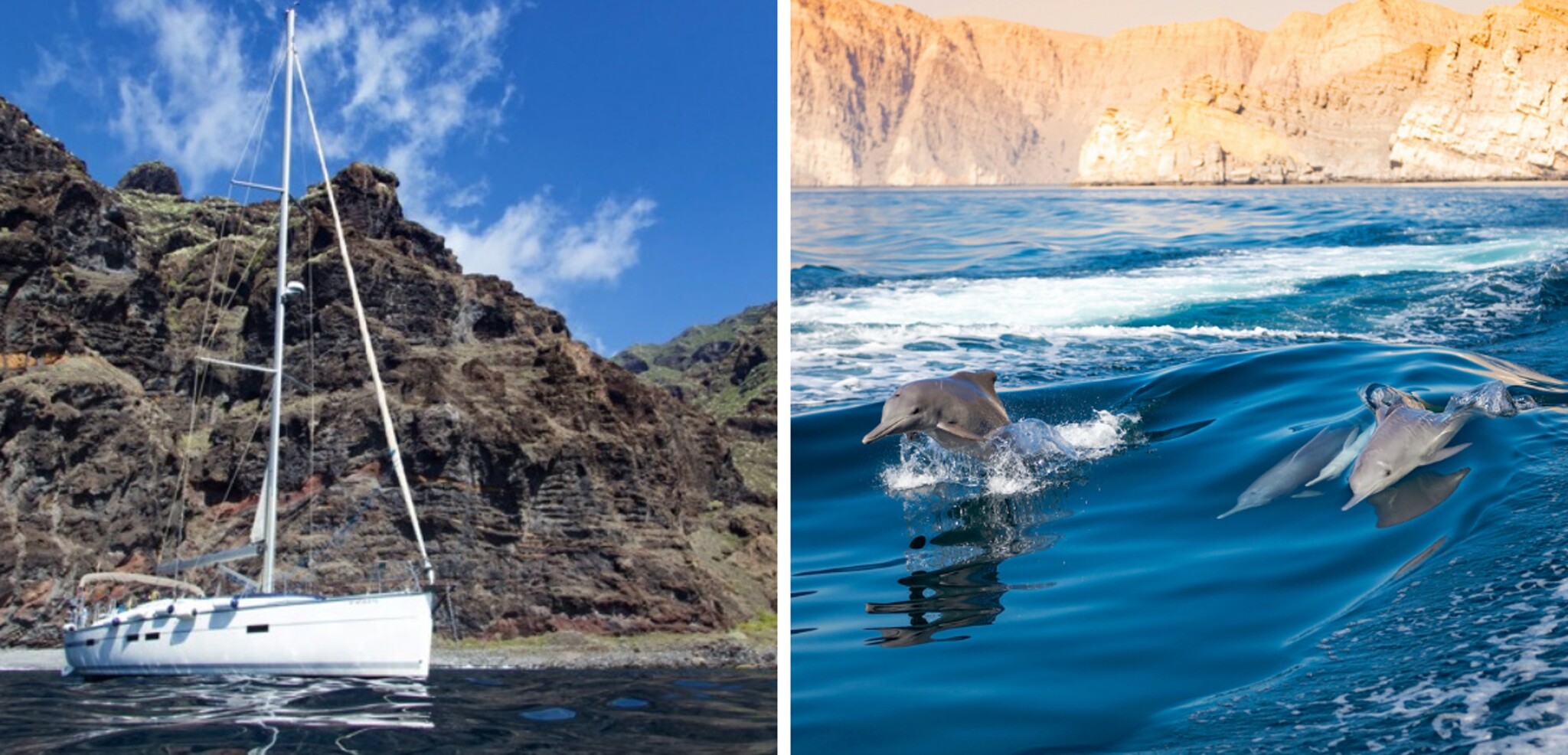 Prenez la mer pour une observation des cétacés