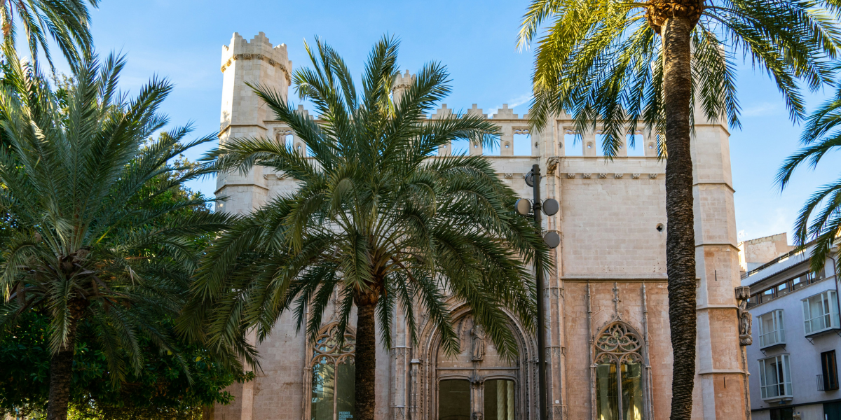 Palma de Majorque, Espagne ©David Vives / Unspalsh