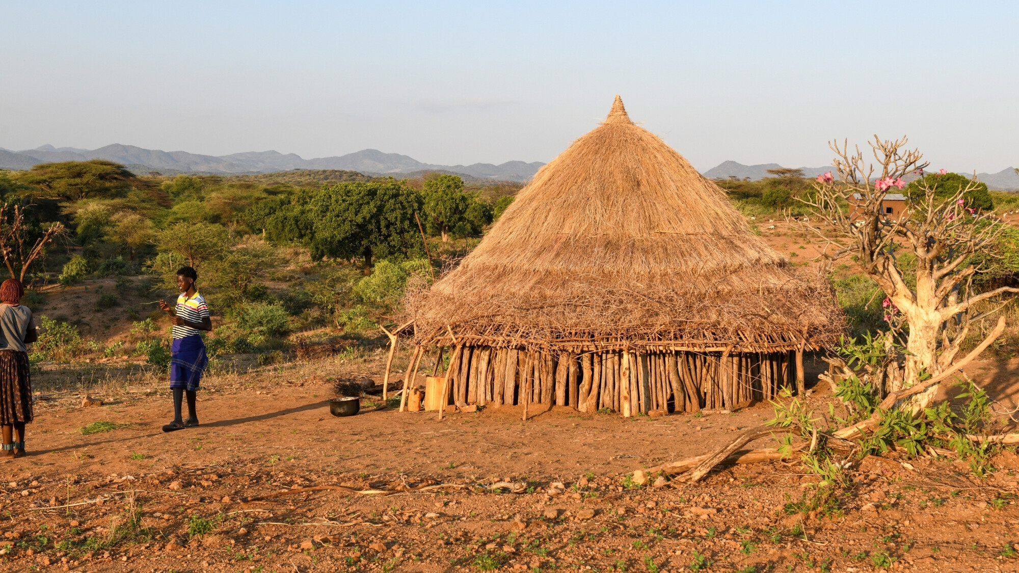 Village Hamer, Turmi, Ethiopie