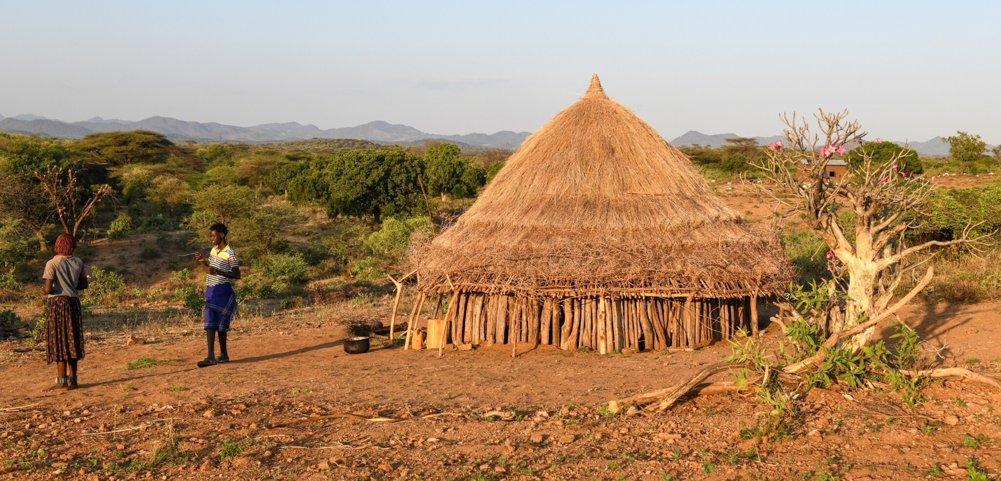 Village Hamer, Turmi, Ethiopie