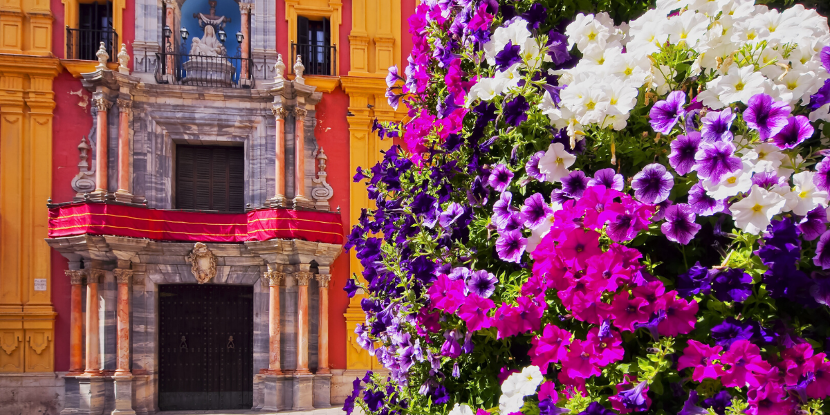 Découvrez les jolies couleurs de la région