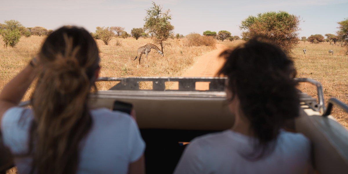 A la recherche des Big Five - jours 2 à 6 