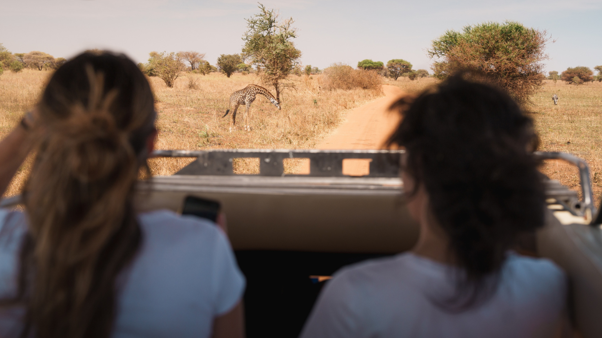 A la recherche des Big Five - jours 2 à 6