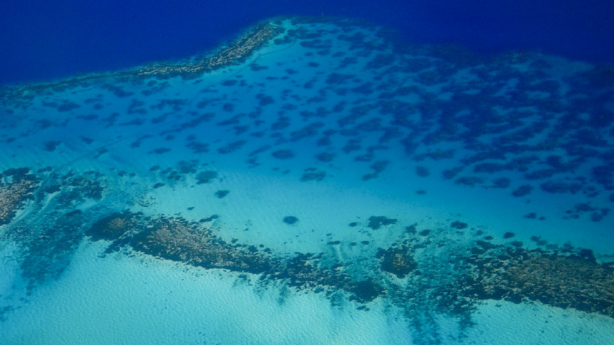 Bora Bora vous tend les bras !