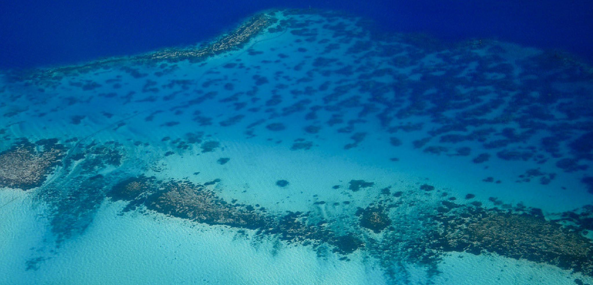 Bora Bora vous tend les bras !