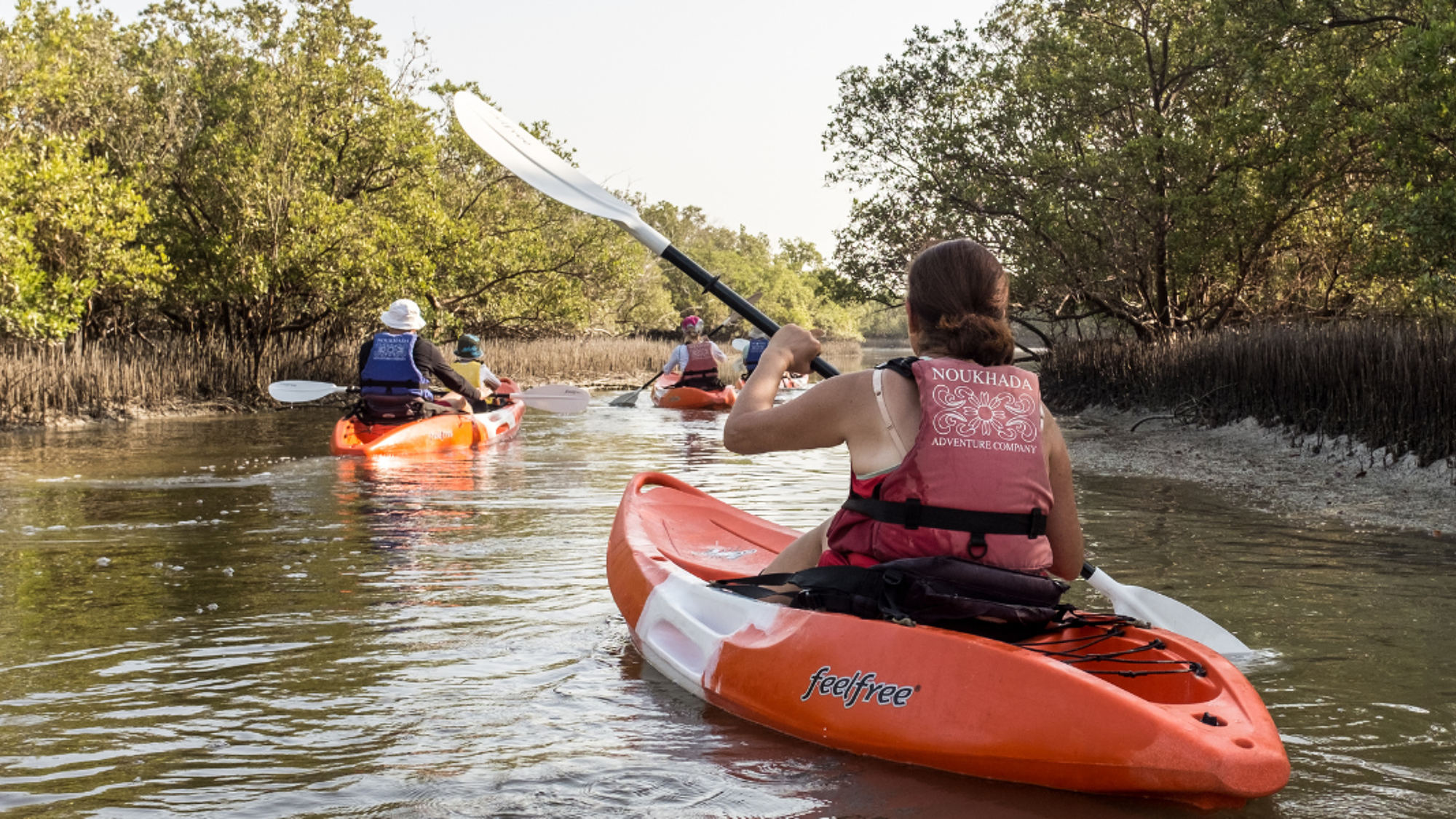 Parcourez la mangrove en kayak