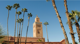 Bienvenue à Marrakech !