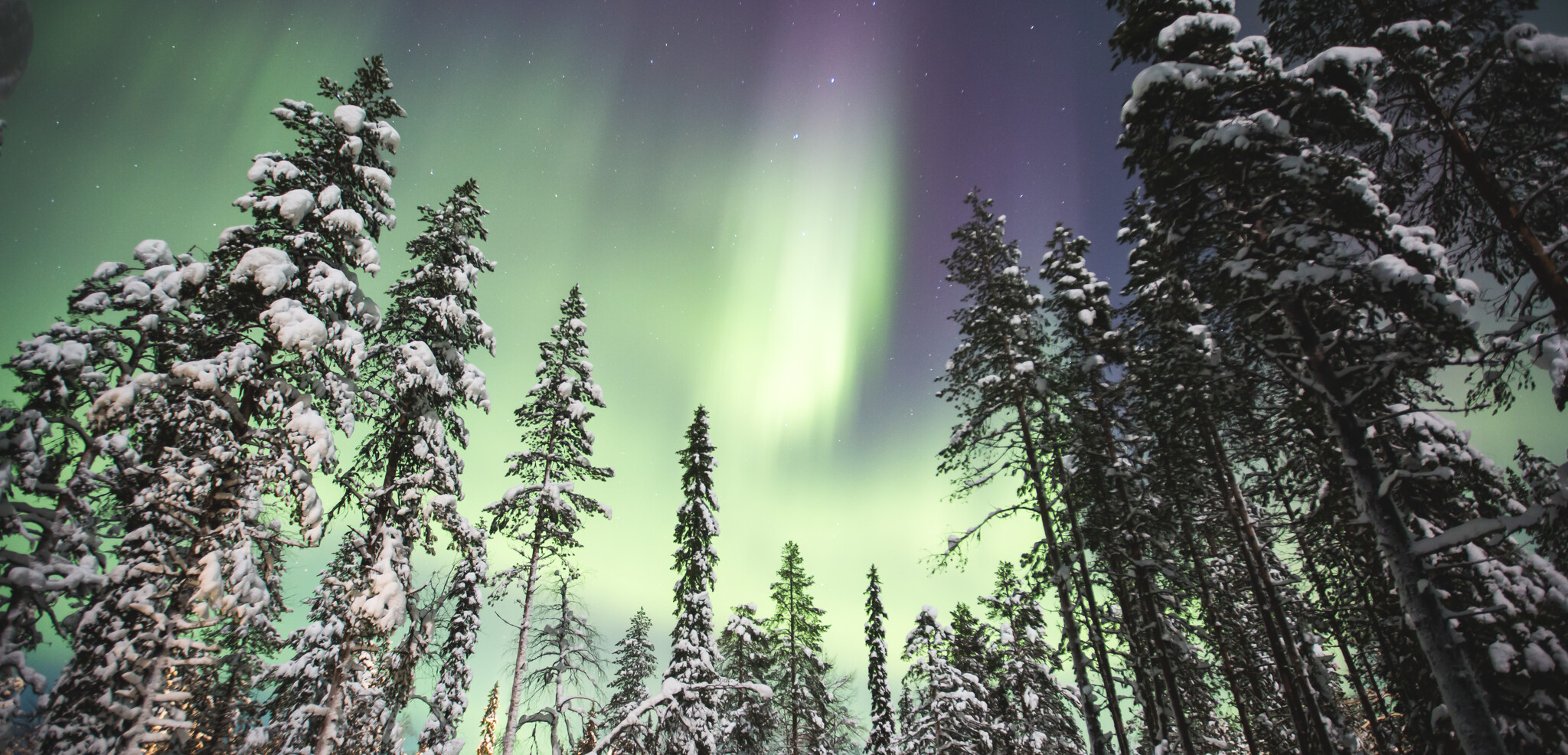 Bienvenue dans le Grand Nord norvégien !