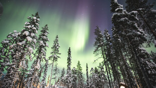 Bienvenue dans le Grand Nord norvégien !