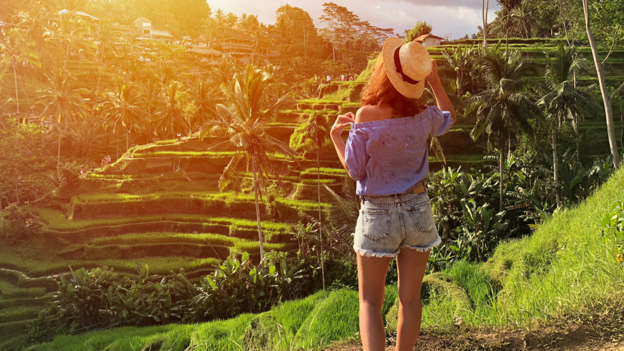 Traversez les magnifiques rizières en escalier ...