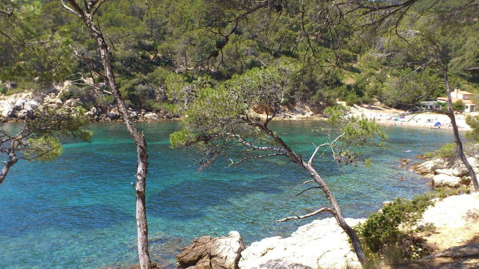 Visitez les Calanques