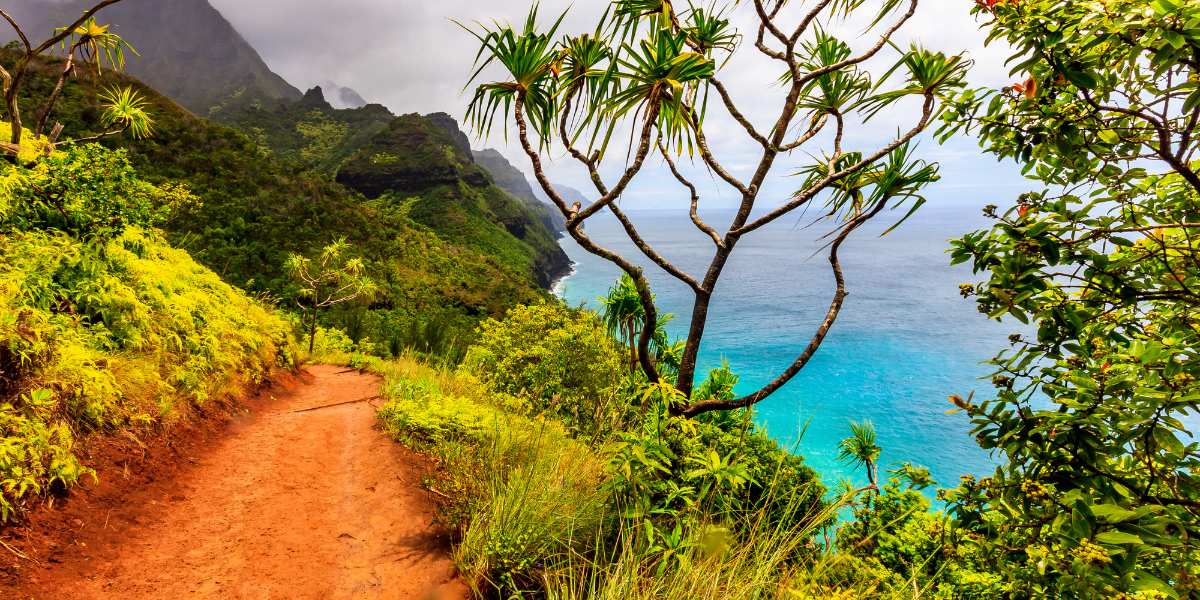 Et partez en randonnée sur le sentier Kalalau de la Na Pali Coast 