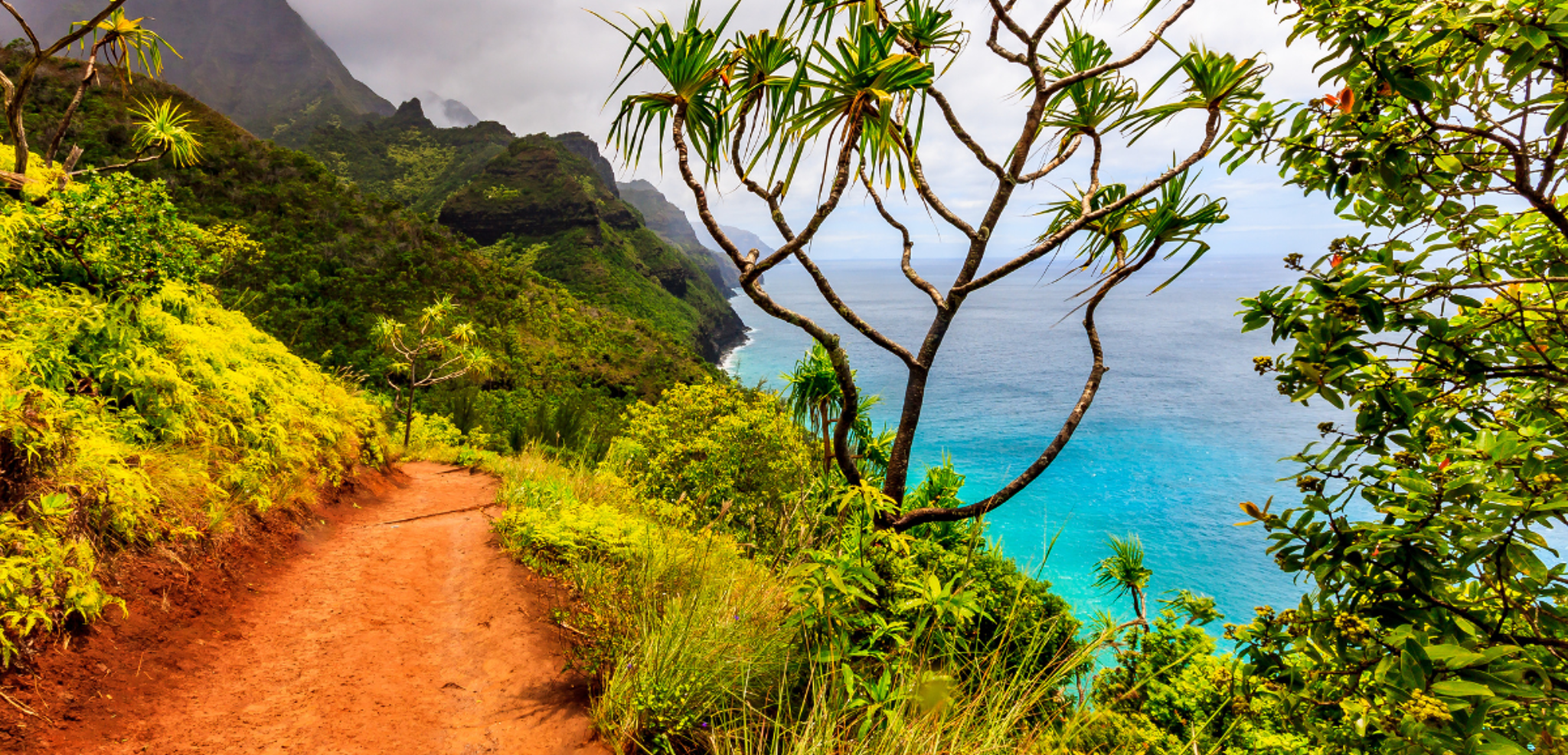 Et partez en randonnée sur le sentier Kalalau de la Na Pali Coast