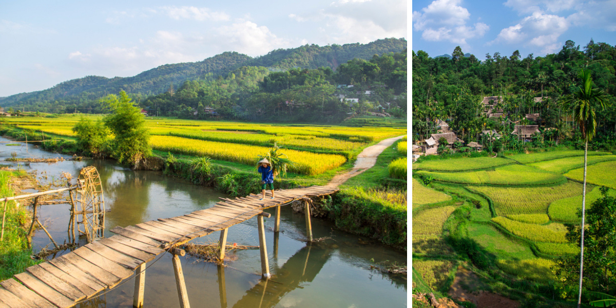 La réserve naturelle de Pu Luong 