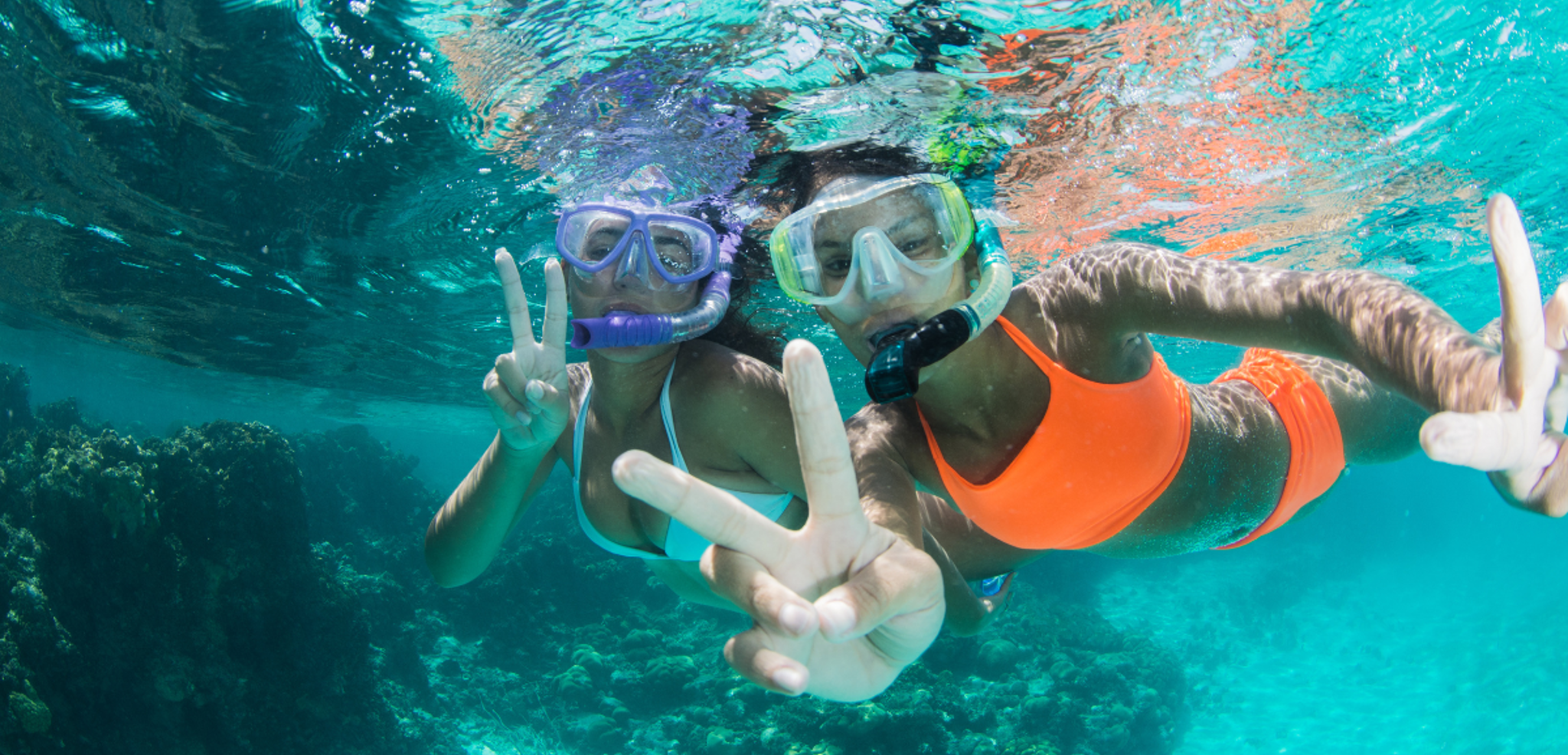 Explorez les fonds marins