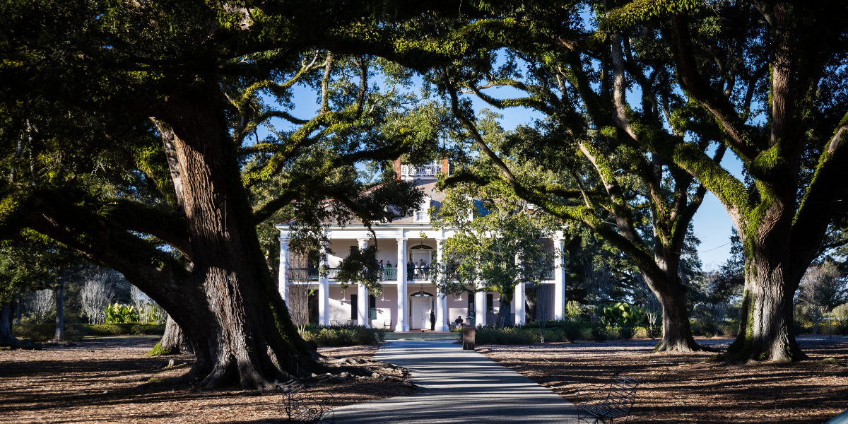 Visitez les plantations historiques 