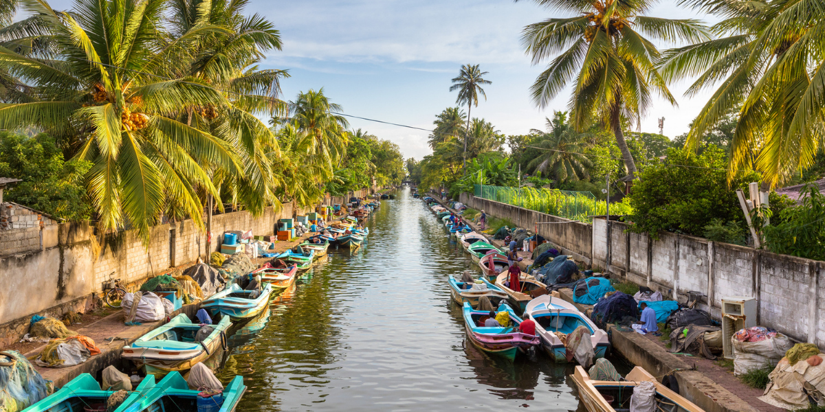 L'arrivée à Negombo, jour 1