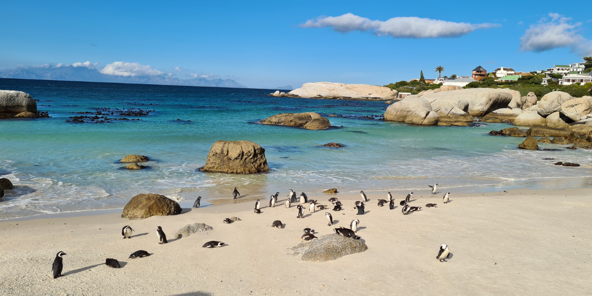 Ses charmants petits habitants