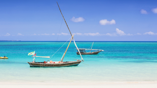 Bienvenue à Zanzibar !