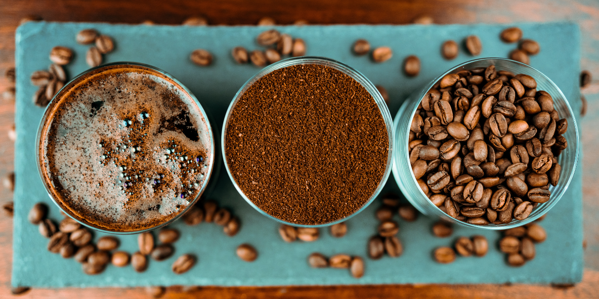La dégustation de cafés d’exception dans une finca traditionnelle - jour 5 