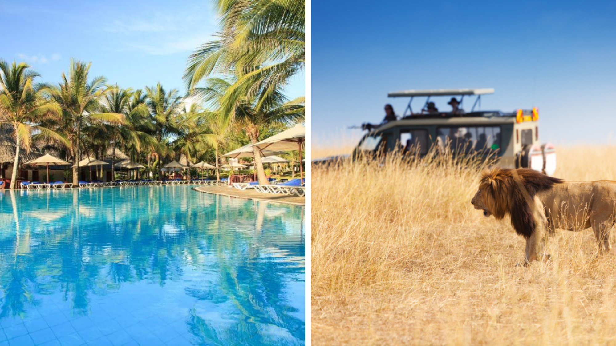 Du farniente et de l'aventure : tout ce qu'on aime !