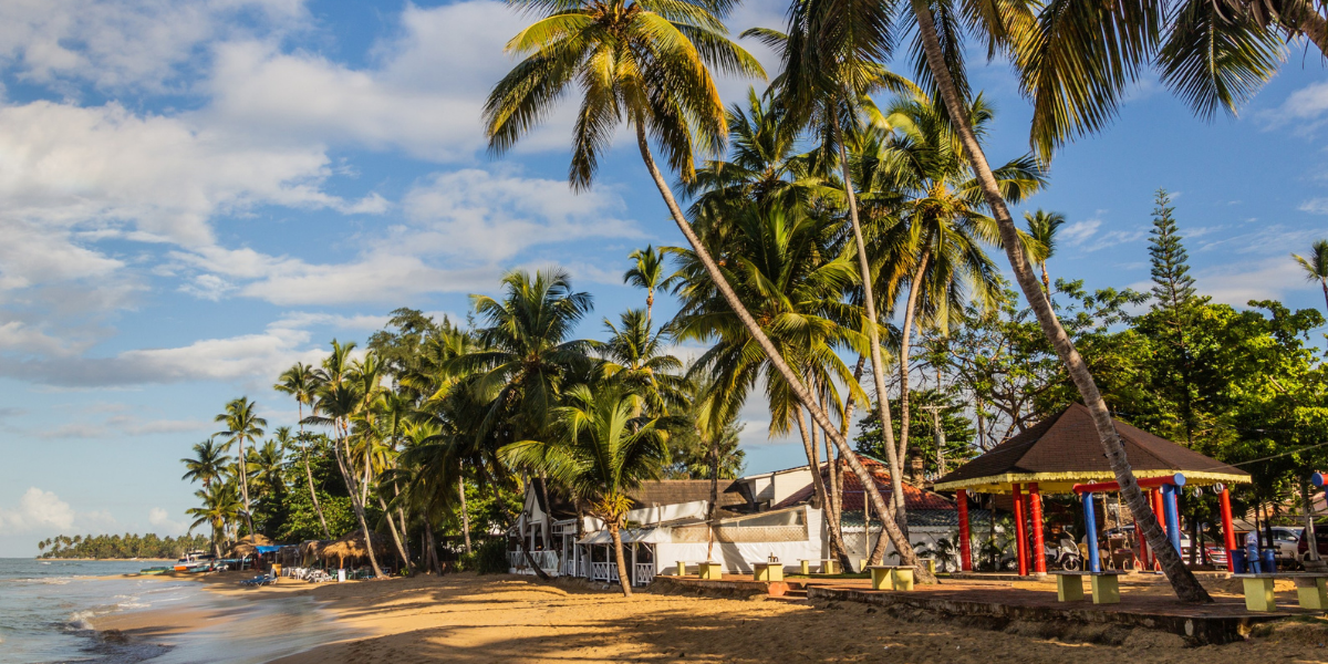 Dégustez un bon repas les pieds dans le sable