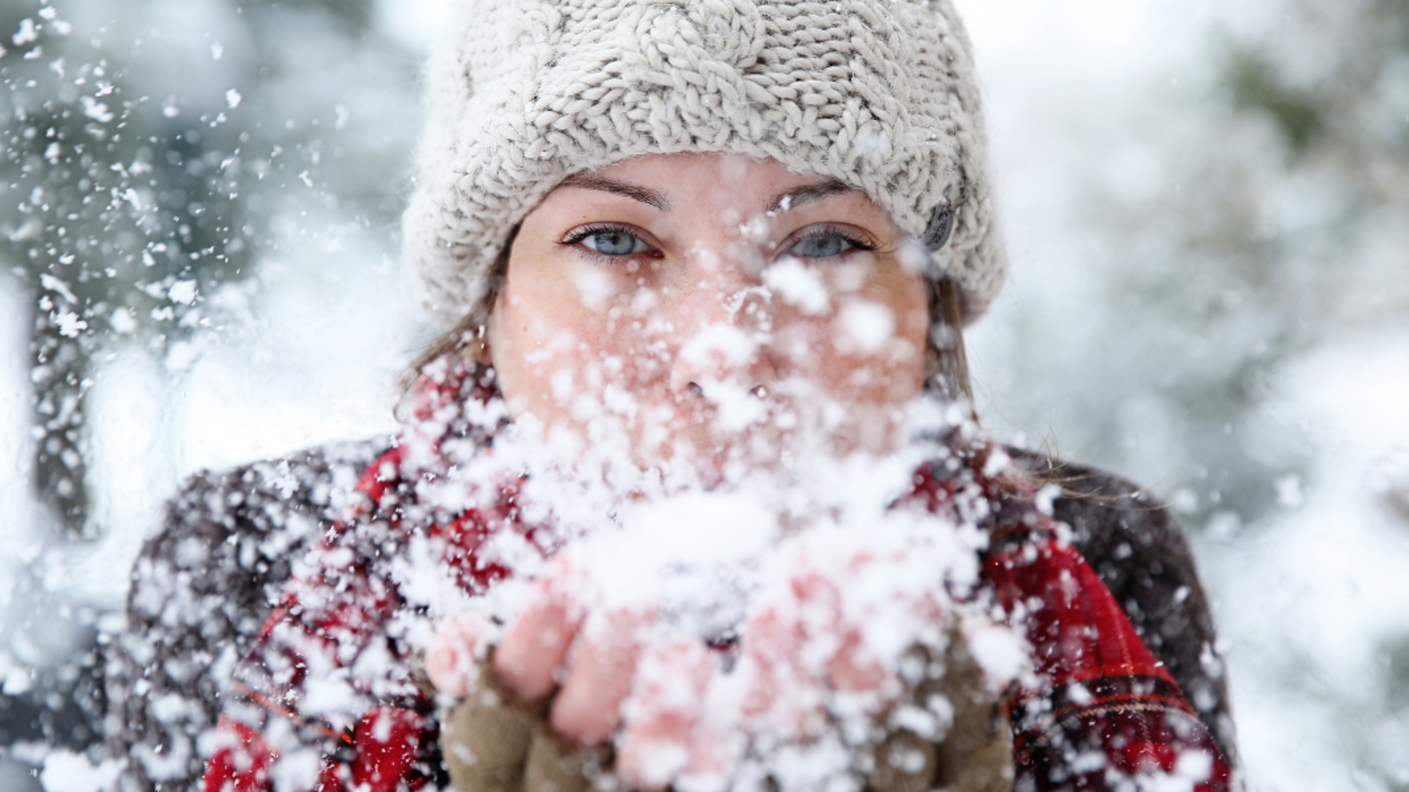 Le Grand Nord c'est par ici !