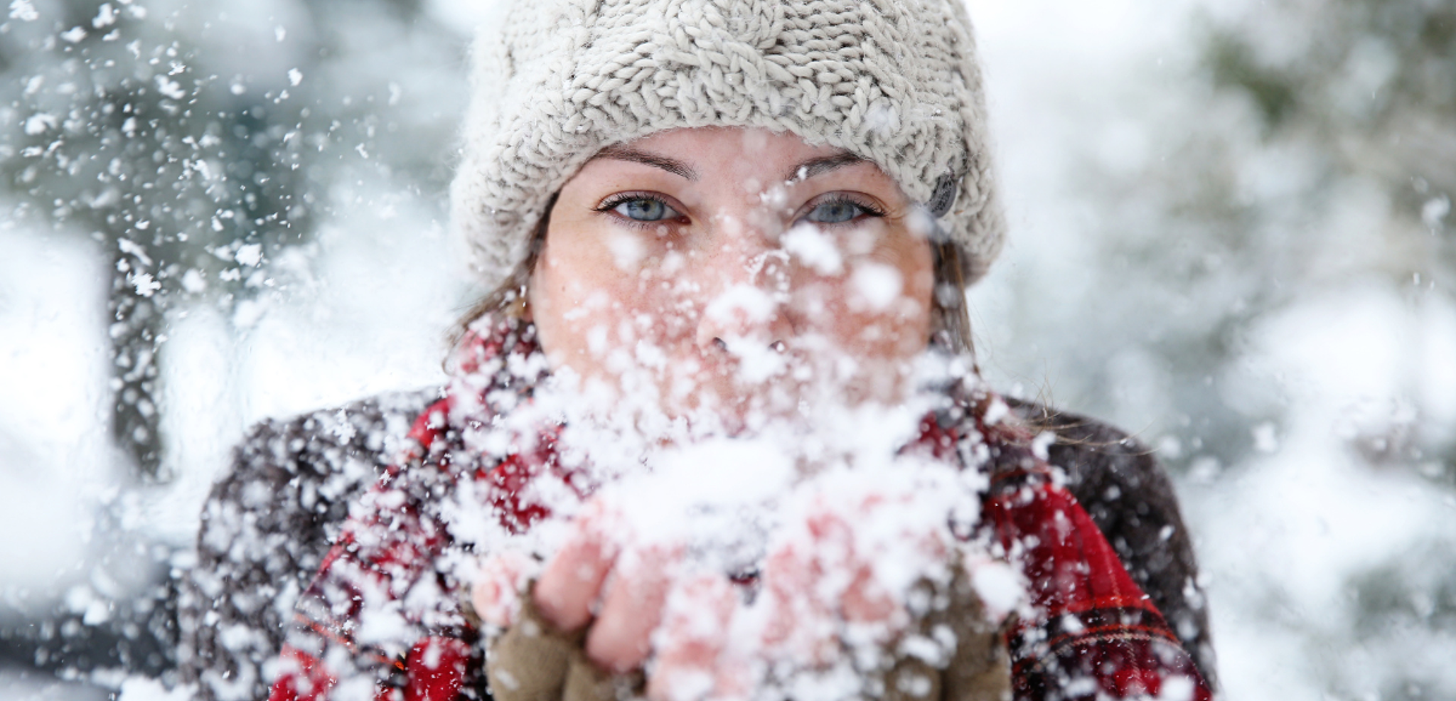 Le Grand Nord c'est par ici !