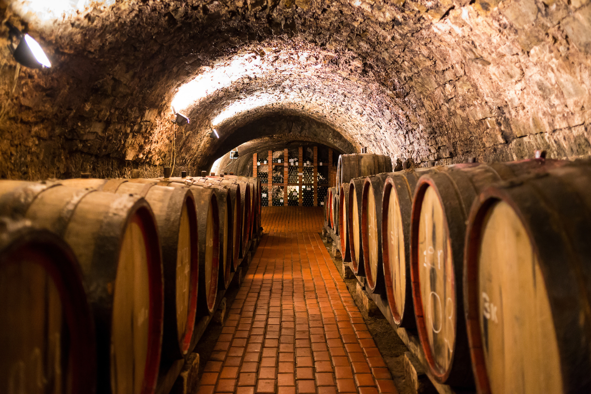 La visite d'une cave à vin, avec dégustation 