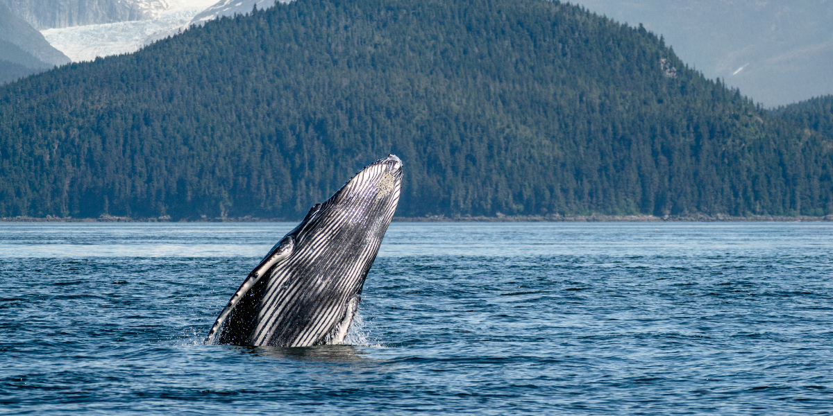 Et gardez l'oeil ouvert ! 