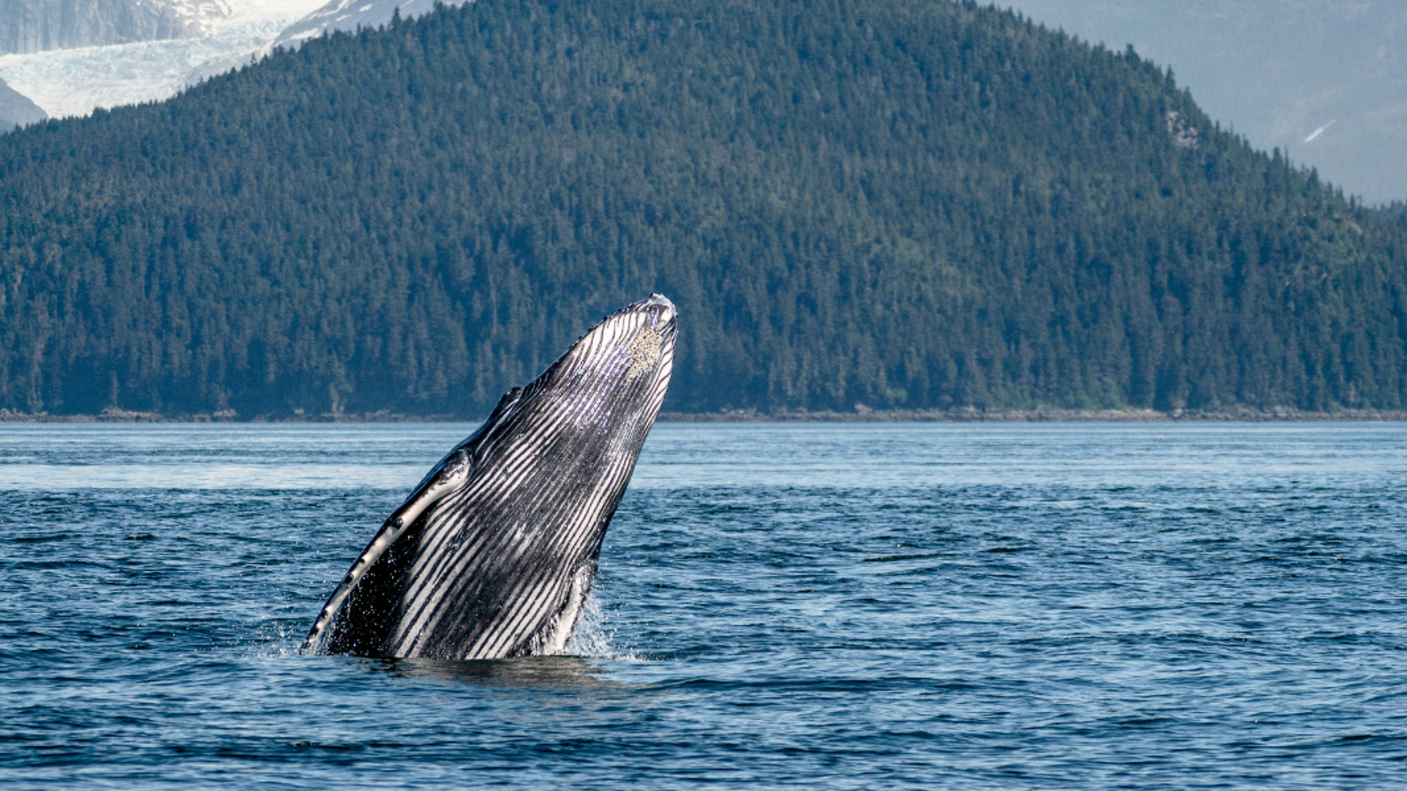 Et gardez l'oeil ouvert !
