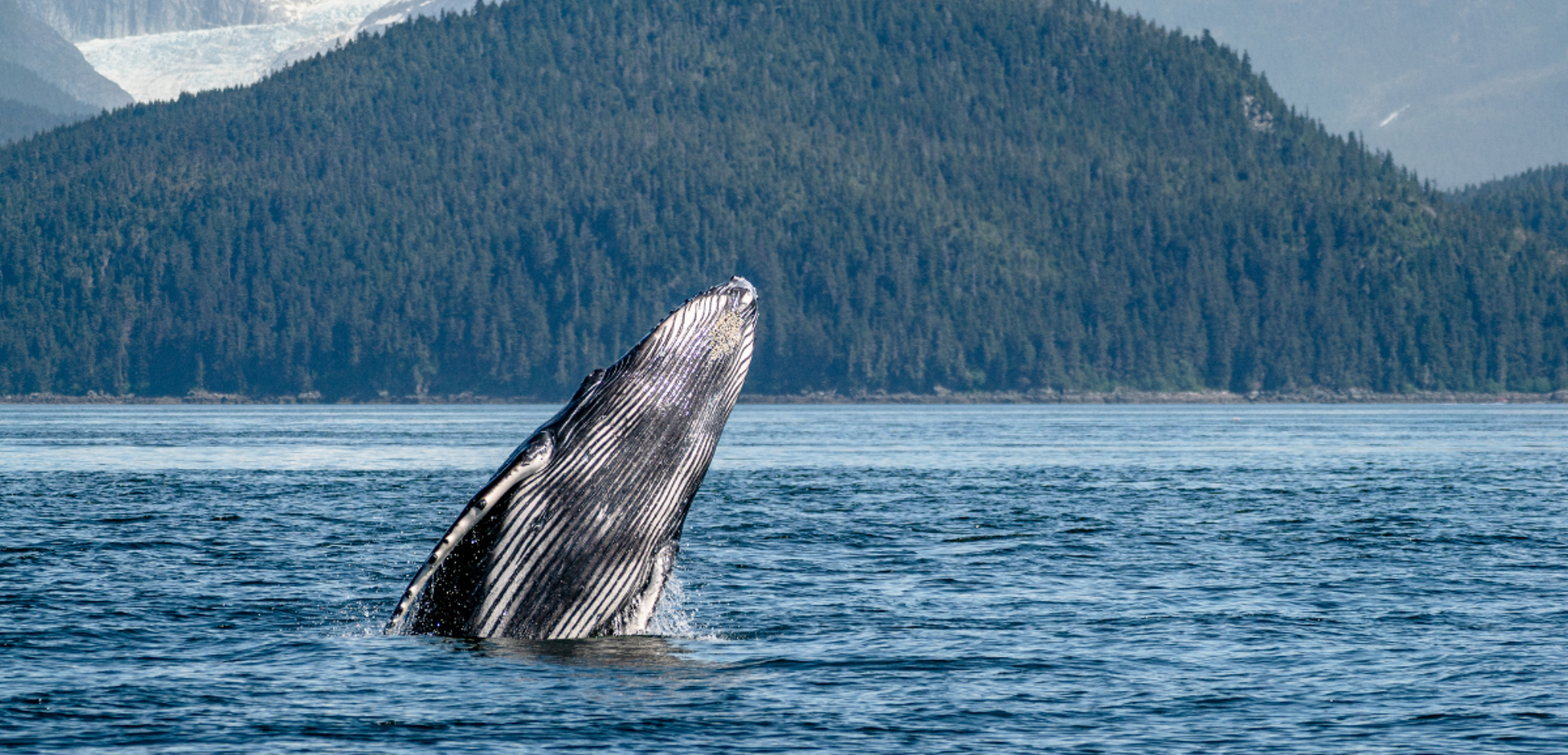 Et gardez l'oeil ouvert !