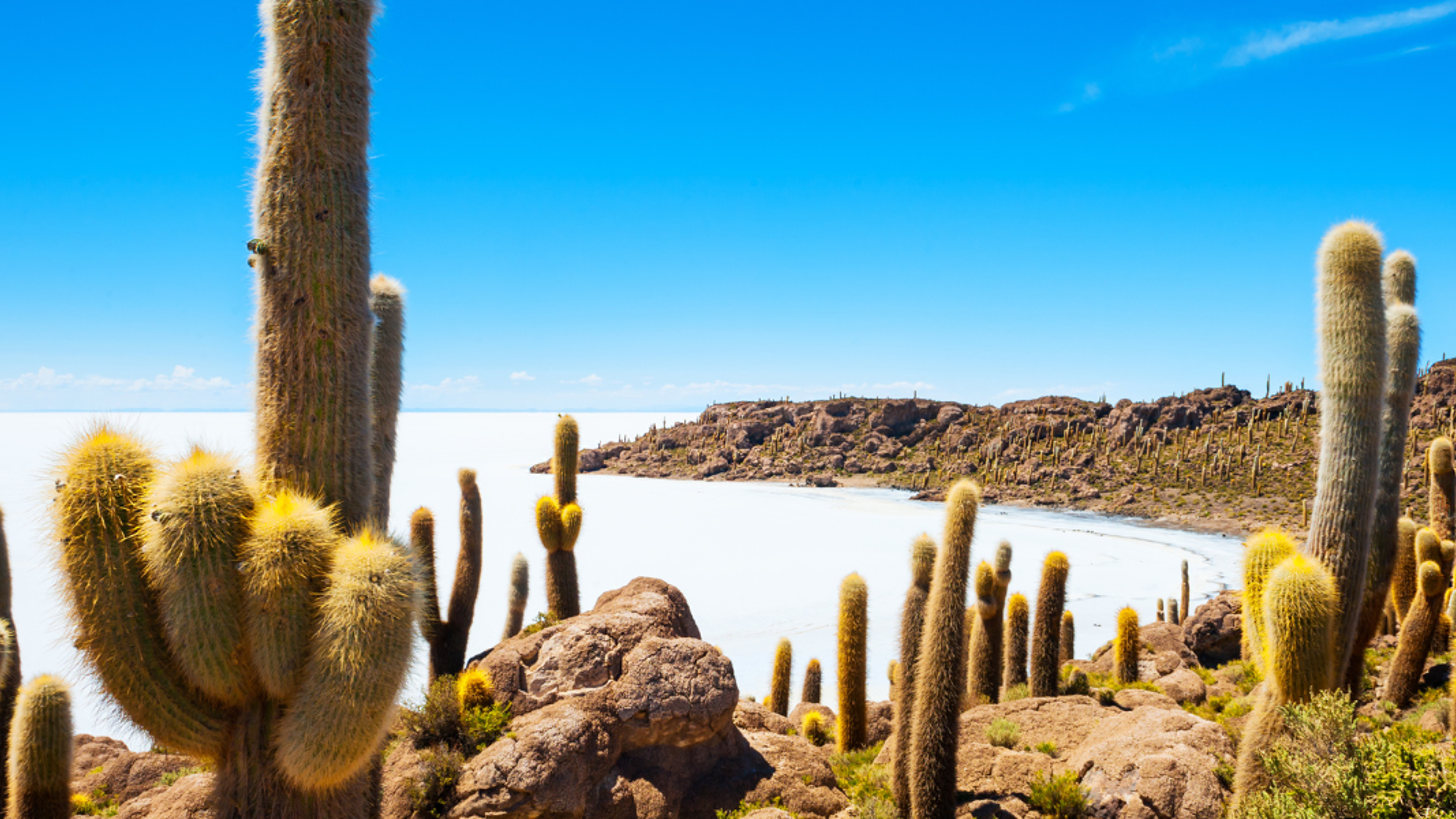 L'île Inca Huasy, recouverte de cactus